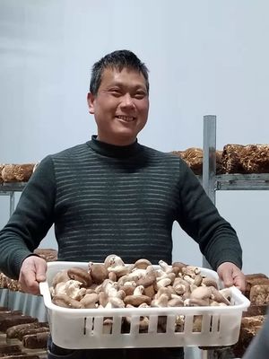 廣西柳州市魚峰區(qū)溫室大棚種植食用菌破土而出