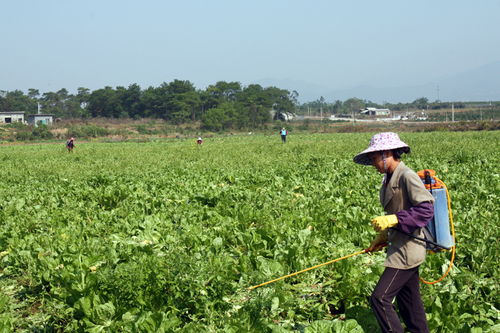 鐘山 土地整治提高農(nóng)業(yè)生產(chǎn)能力 促農(nóng)增效增收