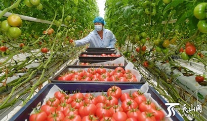 石榴快評丨“網紅”變“長紅”需做好品牌保護