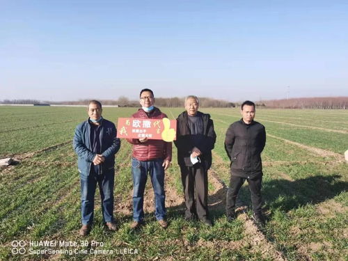 歷經考察期 多種作物試驗示范 經銷商挑選產品有哪些標準