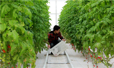 務實篤行 激活鄉村振興新引擎